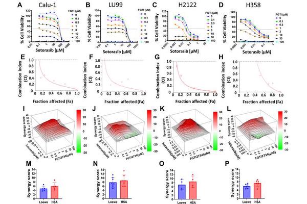 Revolutionary Combination Therapy Overcomes Drug Resistance in Lung Cancer with Frequently Occurring KRAS Mutation