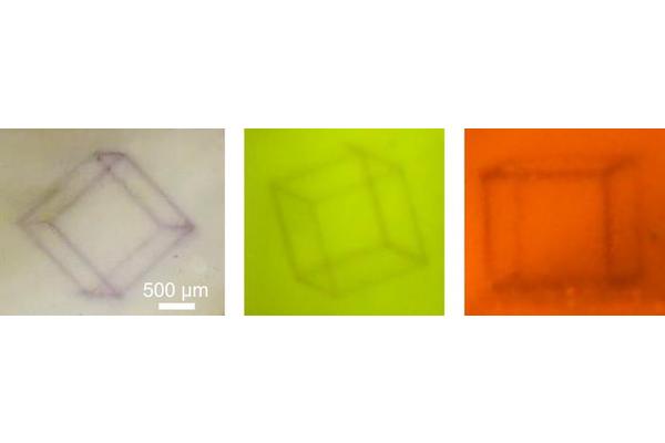 Revolutionary Photochromic Glass Unveils Ability to Store Rewritable 3D Patterns