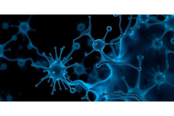 Immune Cells Linked to Increased Parkinson’s Disease Risk in Men
