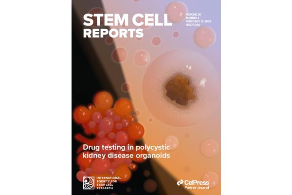 ISSCR’s Stem Cell Reports Designated as Official Conference Journal for BaCell 3D Conference