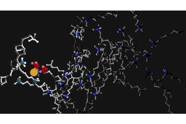 New Study Reveals that Increased Water Does Not Always Enhance Performance in Ion-Conducting Membranes