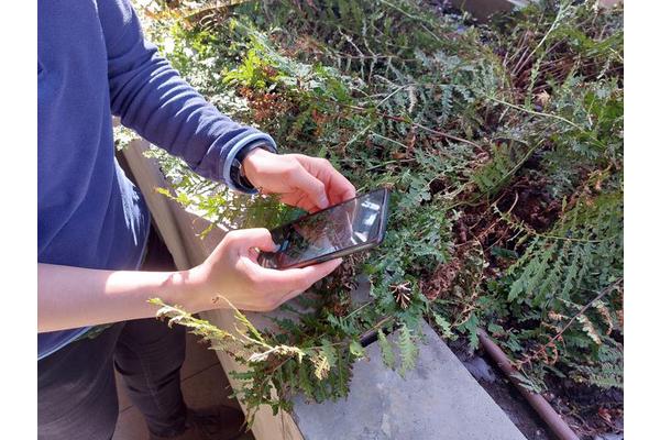 Leveraging Social Media to Monitor Species Amid Climate Change
