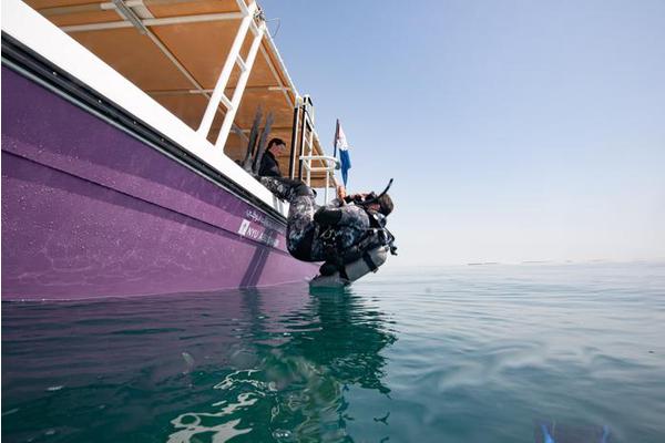 NYU Abu Dhabi Study Reveals Coral Reef Fish Show Remarkable Adaptability to Increasing Ocean Temperatures