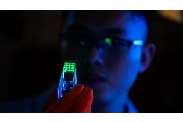 Affordable and Eco-Friendly: The Future of LED Technology is On the Horizon