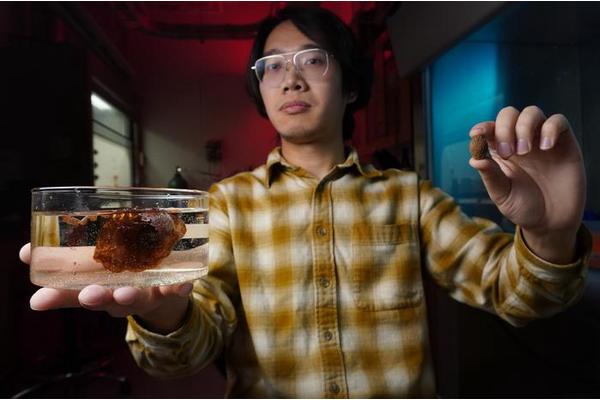 Groundbreaking Research Promises Major Advances in Healthcare