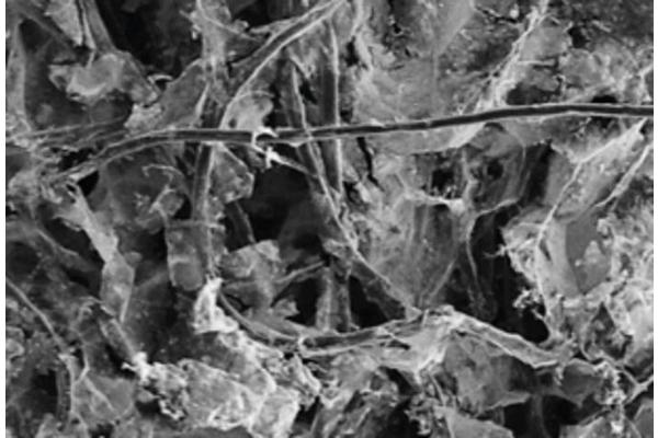 Bridging the Divide: MXene-Coated Filters Boost Performance and Longevity