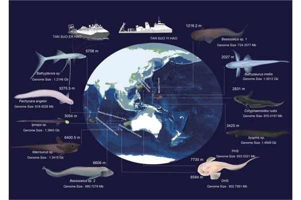 Scientists Uncover Evolutionary Wonders of Earth’s Deepest Oceans