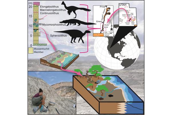 Exciting Discovery: Fossil Eggshells from Utah’s Cedar Mountain Formation Reveal Cretaceous Eggs of Feathered Dinosaurs, Herbivores, and a Rare Crocodile-Like Species Outside Europe