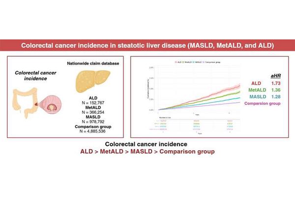 Unraveling the Connection Between Colorectal Cancer Risk and Fatty Liver Disease