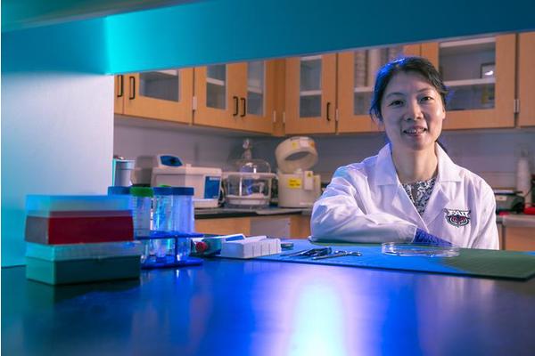 E. (Sarah) Du, Ph.D., Elevated to Senior Member of the National Academy of Inventors