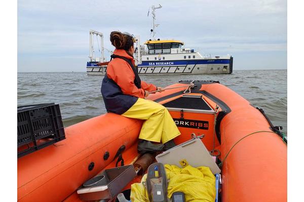 NIOZ Researchers Release Comprehensive Dataset on Wadden Sea Tidal Flats