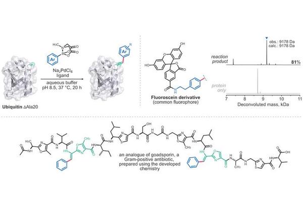 Advancements in Precision Engineering of Peptides and Proteins