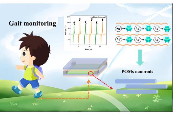 Advancements in Triboelectric Nanogenerators: Exploring Nanomorphology of Polyoxometalates for Teen Gait Monitoring