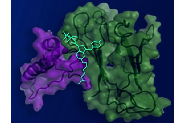 New Compound Leverages Cannabis’ Analgesic Effects While Minimizing Side Effects