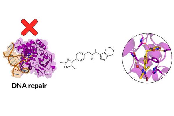 Breakthrough Method Scans 10 Sextillion Drug Molecules for Discoveries