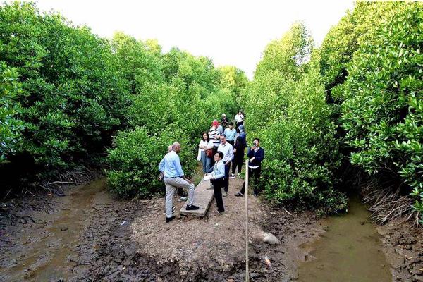 Urgent Call for Reforming Vietnam’s Low-Emission Food Systems