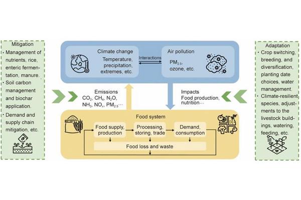 Exploring the Interconnections Between Food Systems, Climate Change, and Air Pollution: Insights and Solutions