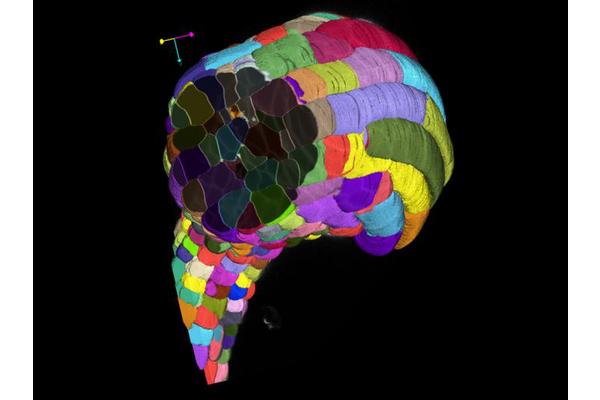Revolutionizing Cell Analysis: Harnessing Artificial Intelligence for Automatic Insights