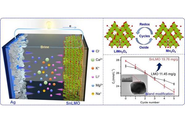 Enhanced Lithium Extraction from Brine Through Nanoparticle Island-Modified LiMn₂O₄ Electrode