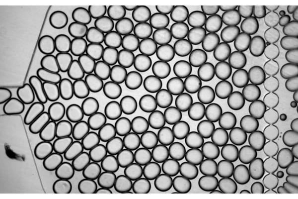 Enhancing Quantum Sensing: Harnessing the Power of Flow