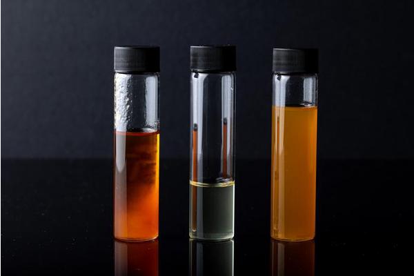 Transforming Plastic Waste into Valuable Resources: A New Partnership in the US