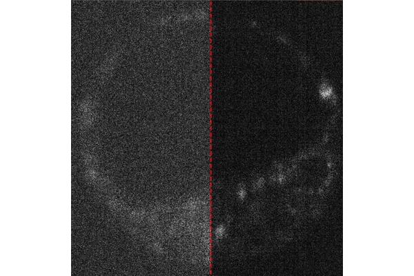 Quantum-Inspired Cameras Reveal the Dawn of Life