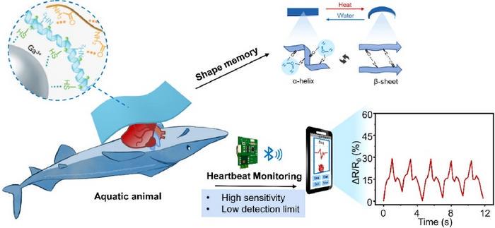 Graphical abstract