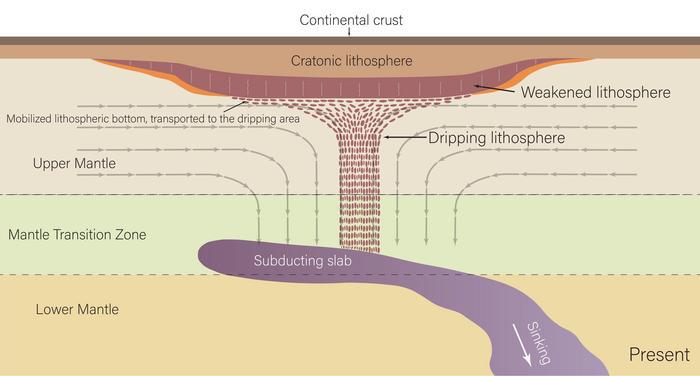 Cratonic dripping