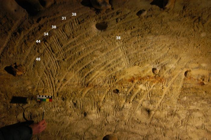 Finger paintings made by children in Rouffignac Cave, 14,000 to 20,000 years ago.