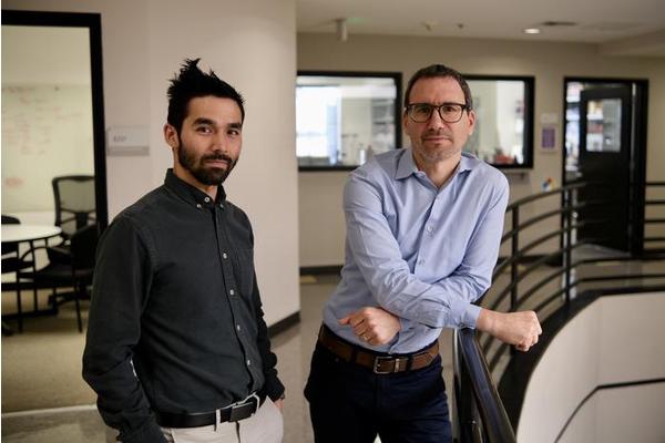 Intricate Balancing Act Regulates Genome Gateway Formation in Cells