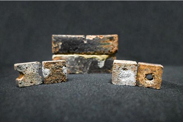Utilizing Bacteria to Repair Cracks in Space Bricks