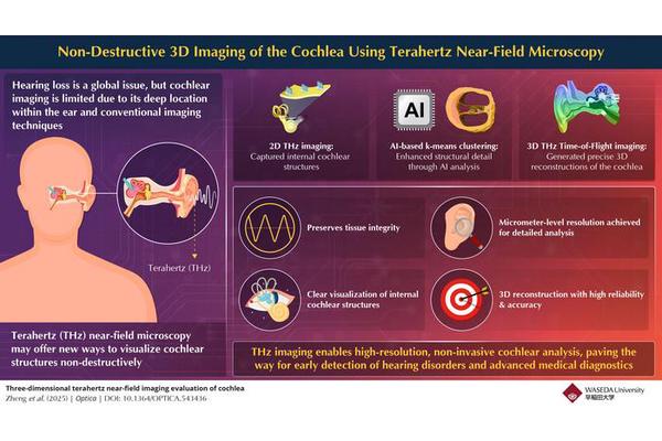 Revolutionary Terahertz Imaging Technology Transforms Non-Invasive Visualization of Cochlea