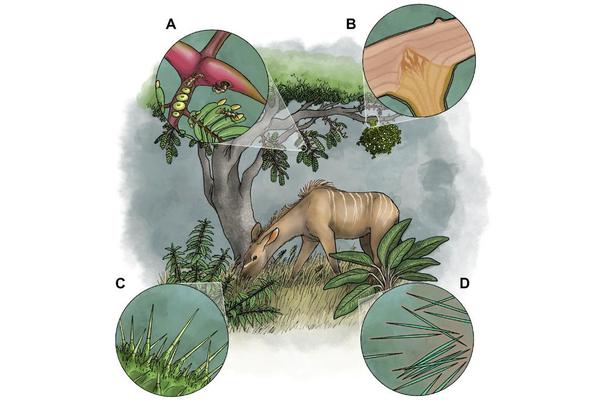 Groundbreaking Research Unveils Venomous Insights Beyond the Animal Kingdom