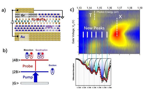 Breakthrough: Scientists Uncover Evidence of Novel Four-Body Quasi-Particle in Two-Dimensional Semiconductors