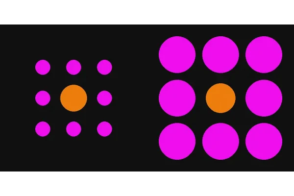 Experts Who Can Decode Optical Illusions: Insights from the Frontiers of Perception