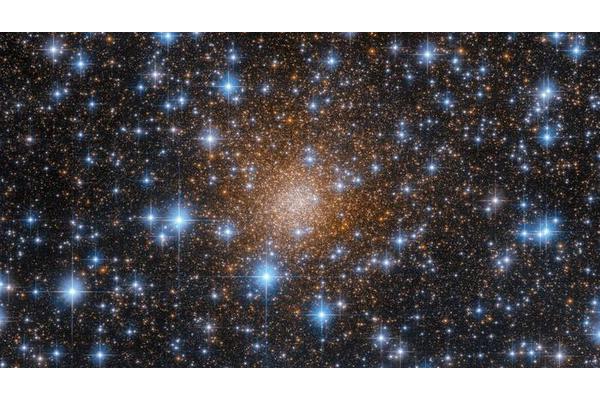 Flatiron Institute Emerges as Central Hub for MESA: A Comprehensive Software Suite for Stellar Evolution