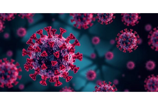 Decoy Strategies for Misguided Antibodies Revitalize Antiviral Immune Response