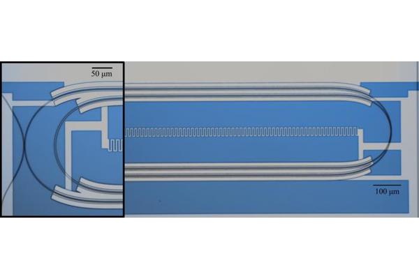 Introducing a Photonic Router: Revolutionizing Light Signal Transmission