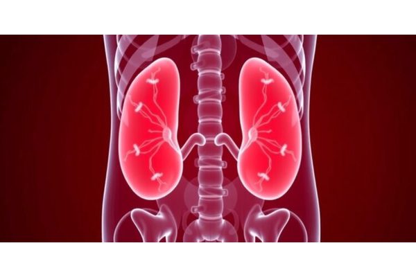 Revolutionizing Bladder Cancer Treatment: How AI is Personalizing Oncology Care