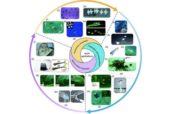 Revolutionizing Miniature Underwater Robotics: Breakthroughs in Actuation and Locomotion Technologies