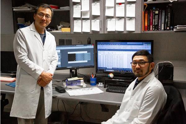 FAMU-FSU College of Engineering Researchers Develop Groundbreaking Microparticles to Advance Understanding of Protein Degradation and Immune Cell Dynamics