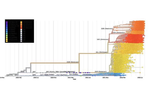 AI Deciphers Genetic ‘Dialect’ to Predict Future Mutations of SARS-CoV-2