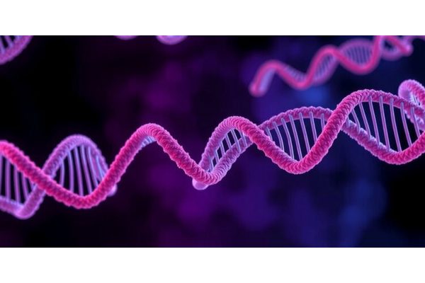 Key Milestones in Regulating Protein Synthesis