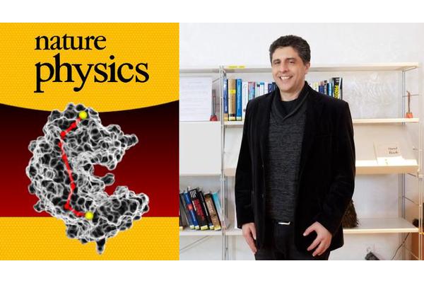 Unleashing Life’s Mechanisms: Enzymes as Adaptive Nanobots