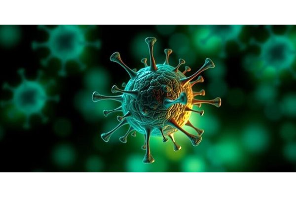 Innovative Tool Enhances the Efficacy of Cancer Immunotherapy