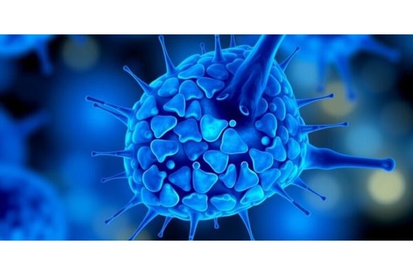 Unlocking Regeneration: CU Cancer Center Researchers Discover Key Mechanism Behind Intestinal Cell Recovery After Injury
