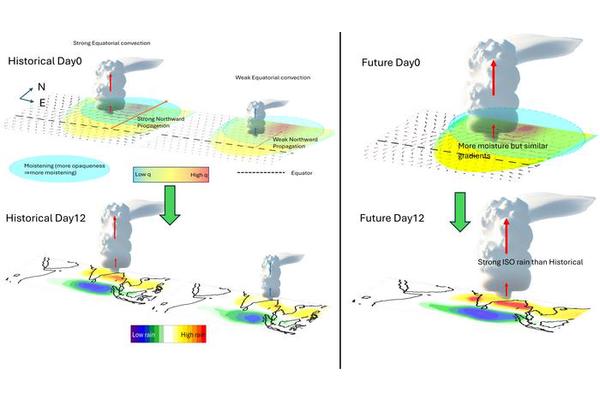 Impact of Cloud Band Dynamics on Monsoon Wet Spells in India