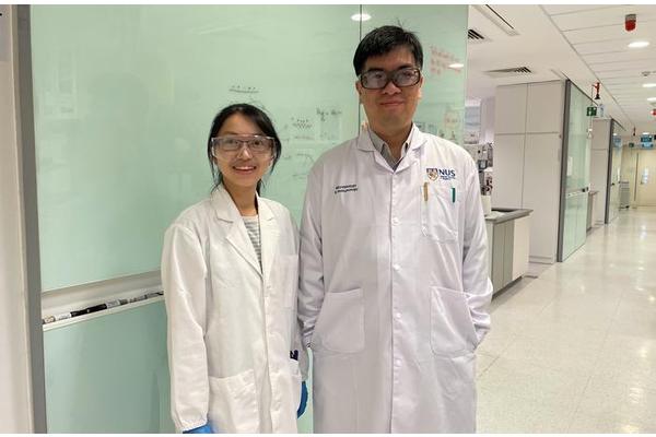 NUS Medicine Research Reveals How Disrupting Antibiotic-Resistant Bacteria’s Shields Could Enhance Immune Response and Improve Pneumococcal Disease Management