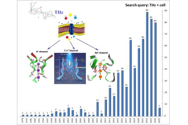 THz Waves: A Promising Target for Cancer Treatment in Living Cells