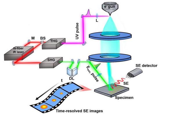 Unveiling Surface Carrier Dynamics in 2D Perovskites Through Real-Space Imaging
